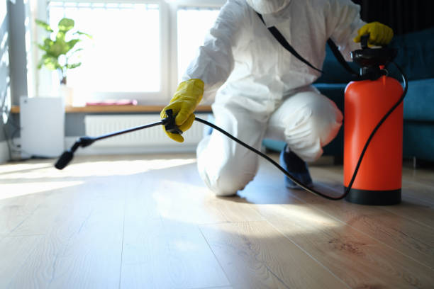 Reliable Biohazard Cleanup contractor in Roy, WA by Trauma Clean Pros